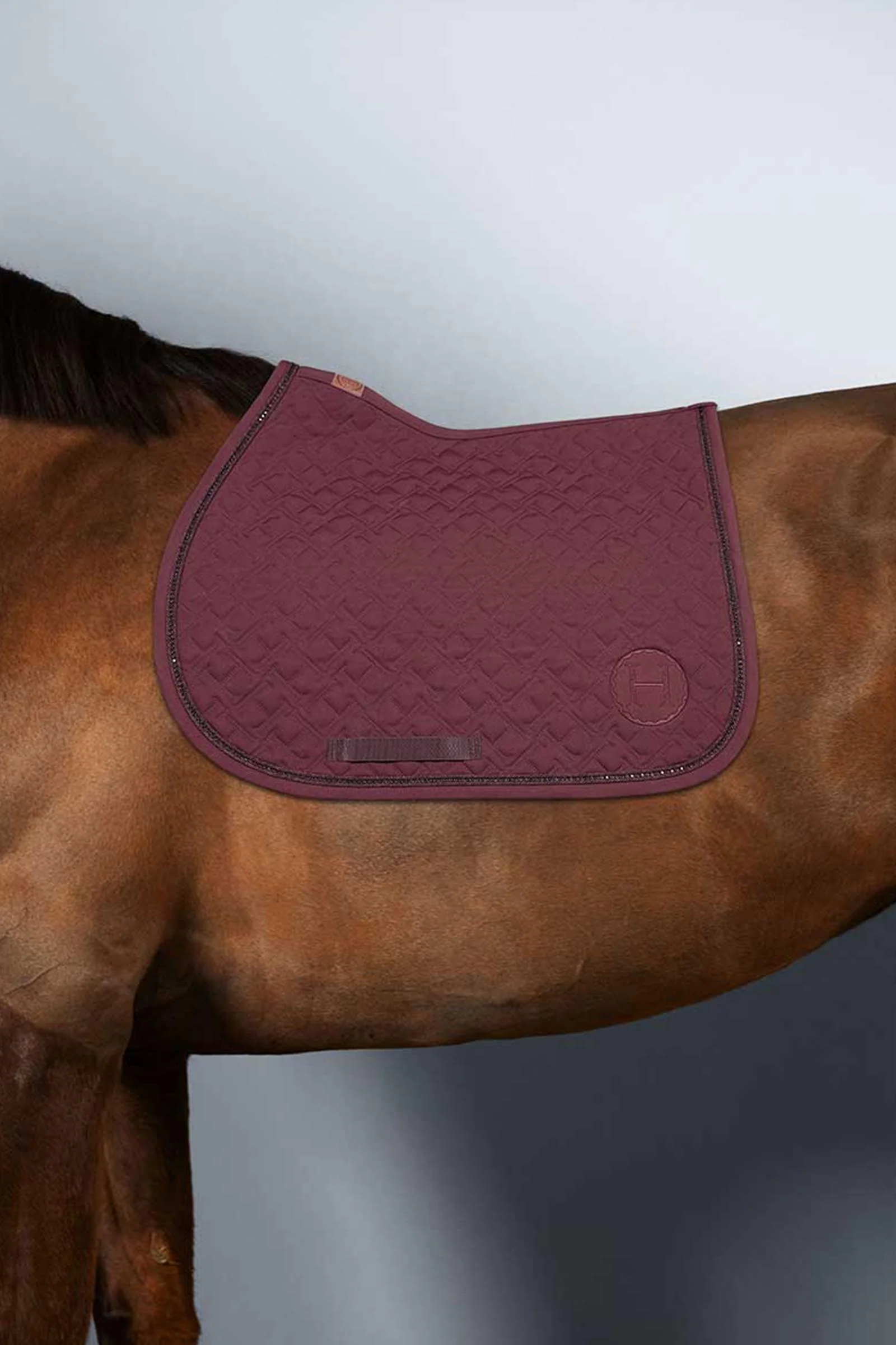 Saphir czaprak pony Aubergine (Eggplant) P