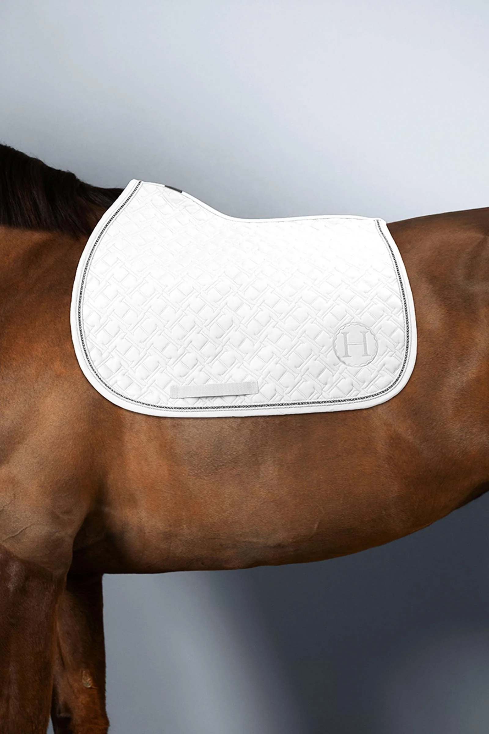Saphir czaprak skokowy Blanc (White) F