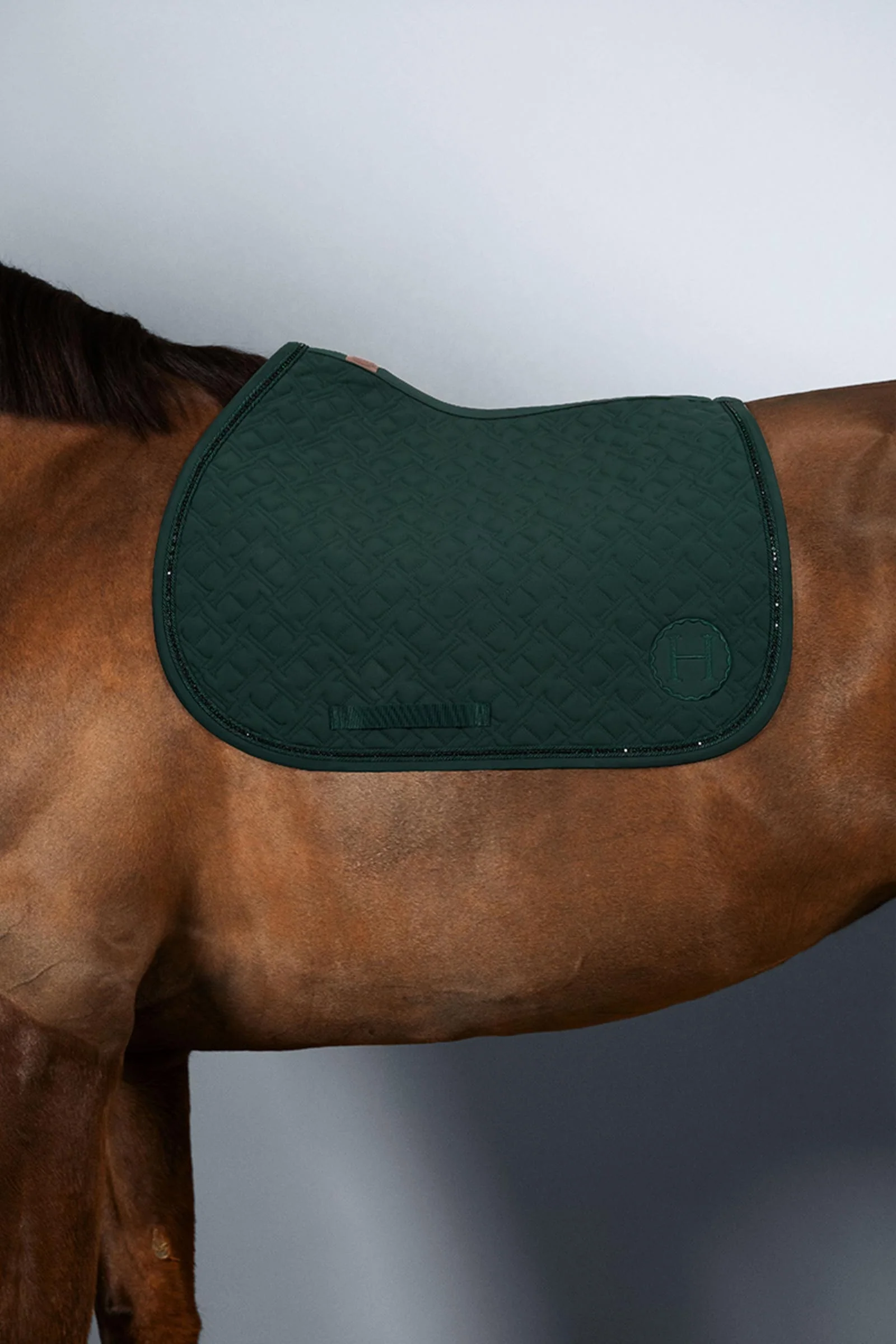 Saphir czaprak skokowy Jungle (JungleGreen) F