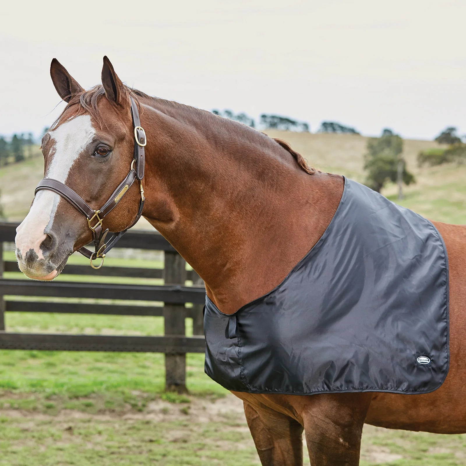 Satynowe naramienniki Weatherbeeta Black P