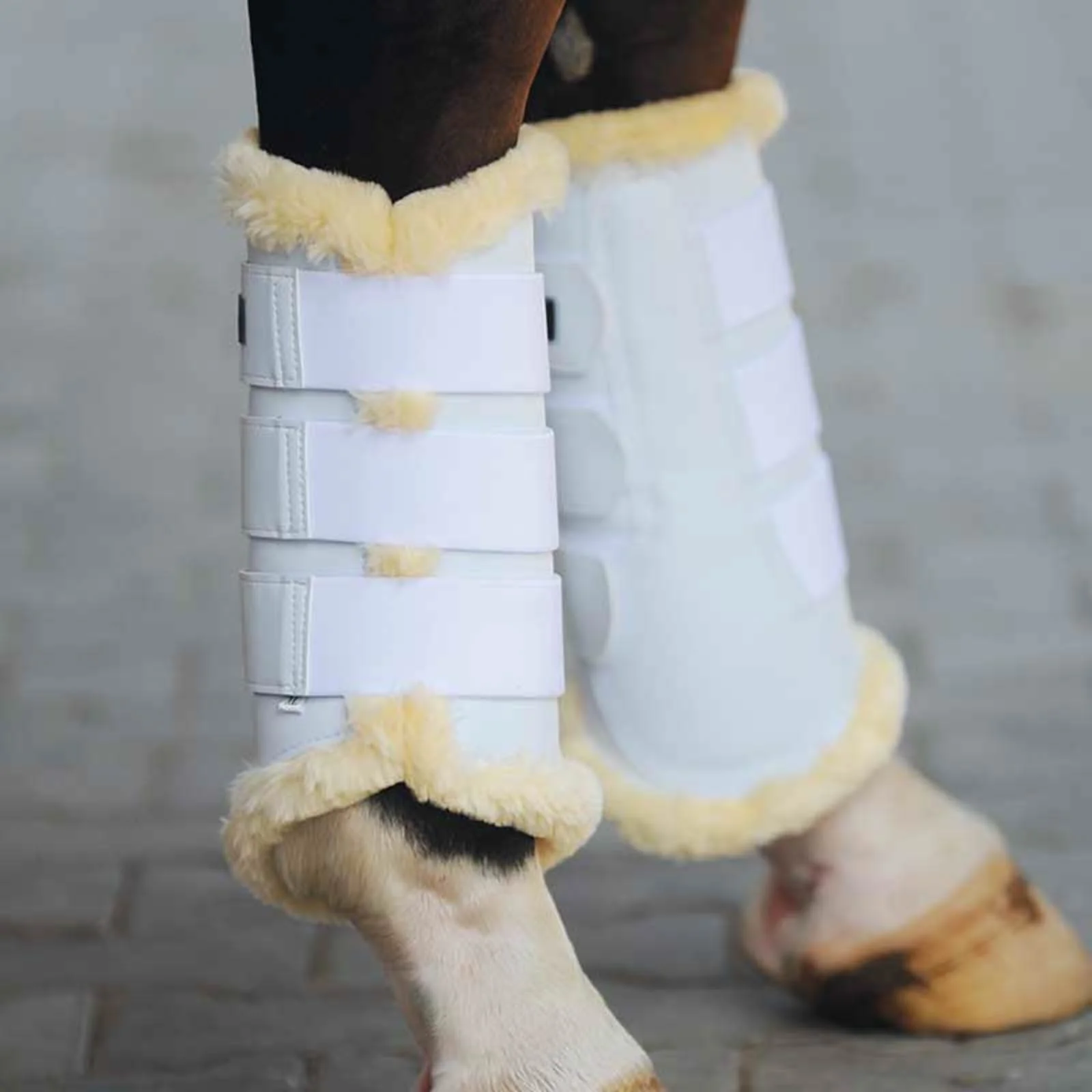 Buty do szczotkowania Show White S - Image 5