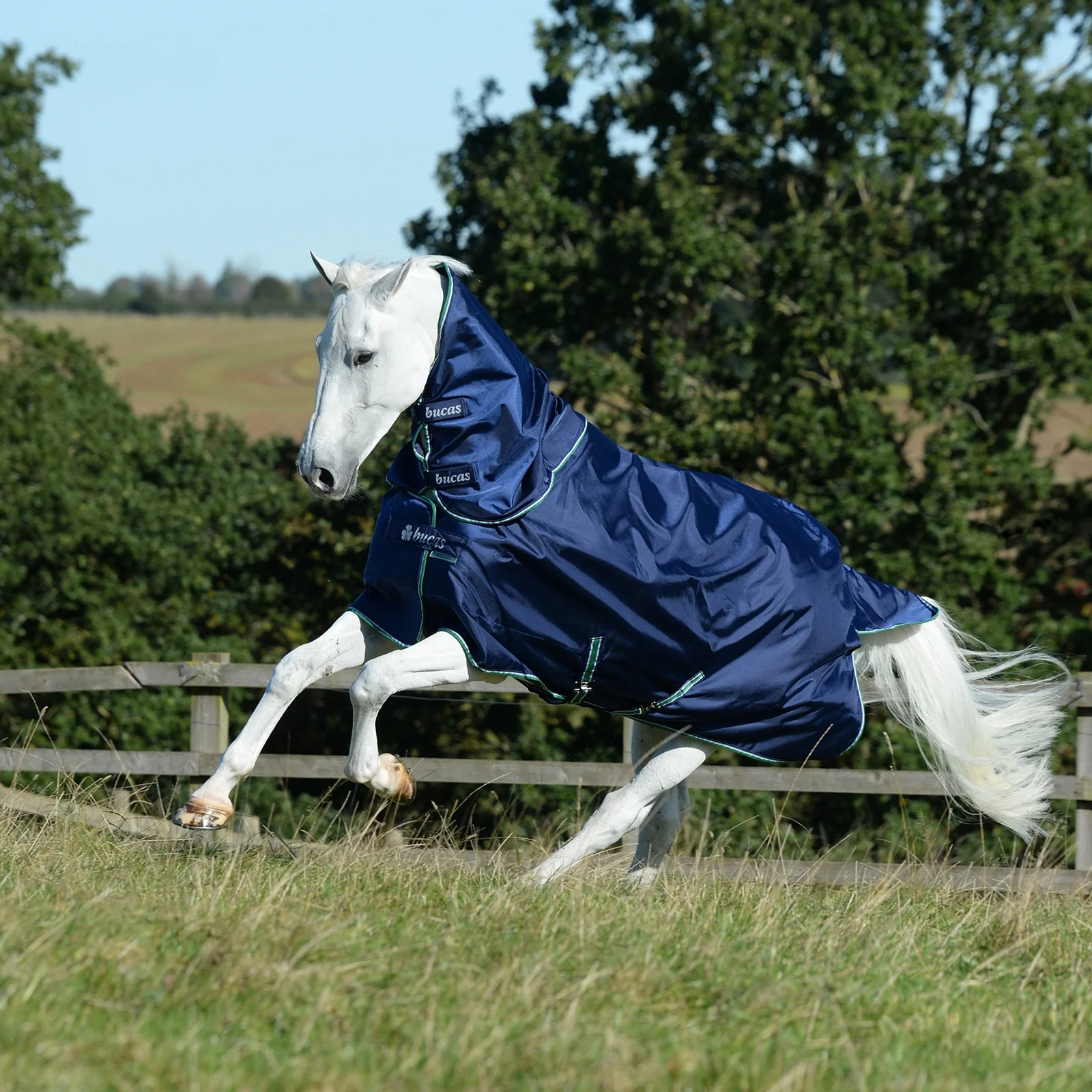 Szyja Smartex Combi 300 Blue S