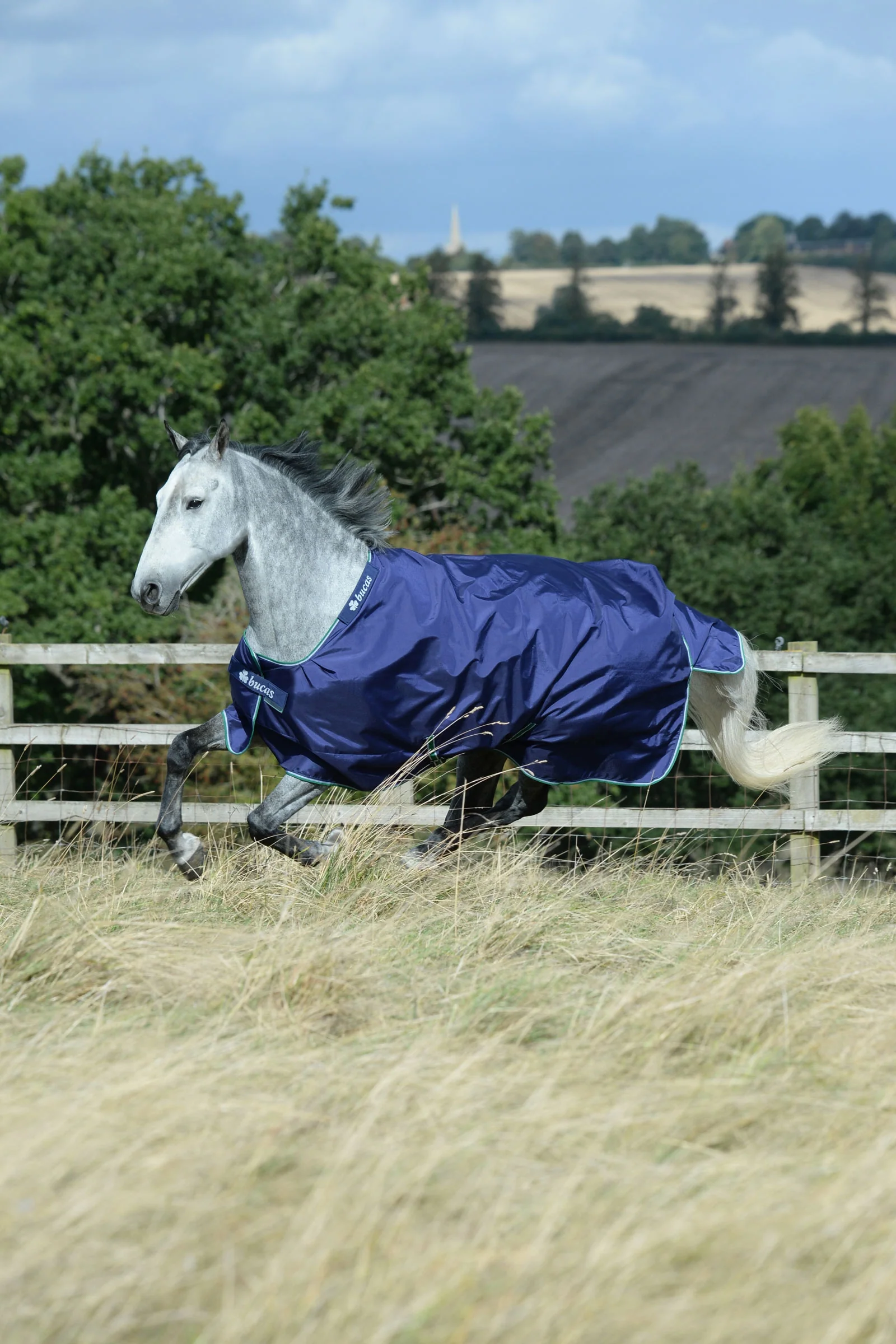 Smartex Medium derka padokowa, 150g Blue/White 165 - Image 2