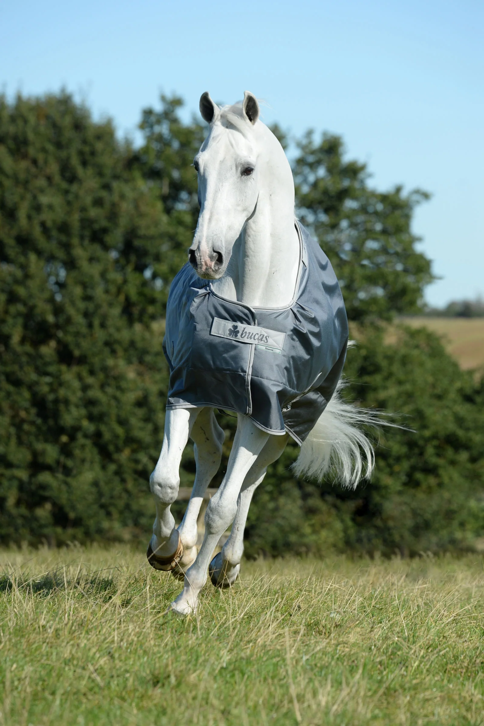 Smartex Medium derka padokowa, 150g Iron Grey 130 - Image 2