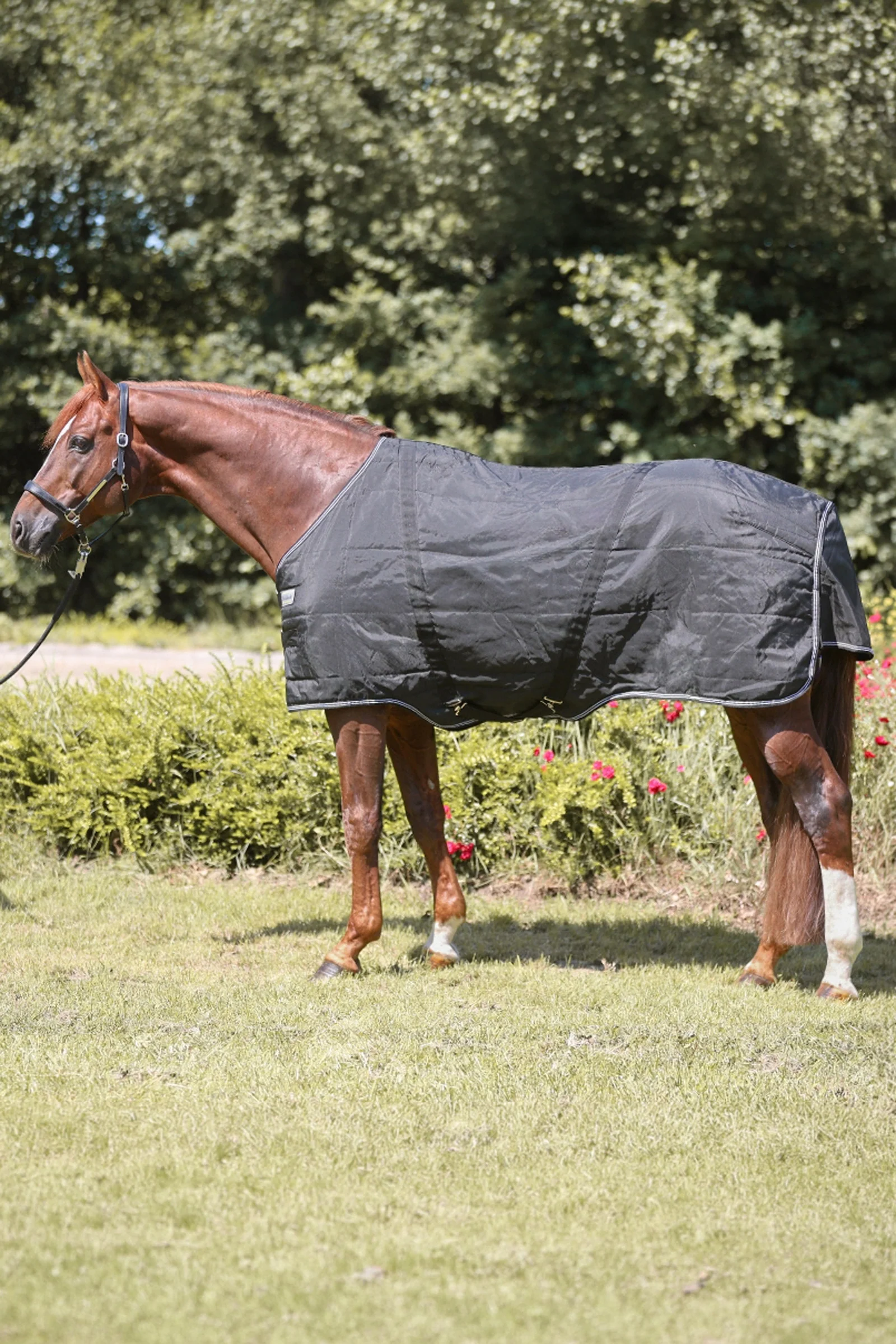 Stallion derka, 200 g Black 155