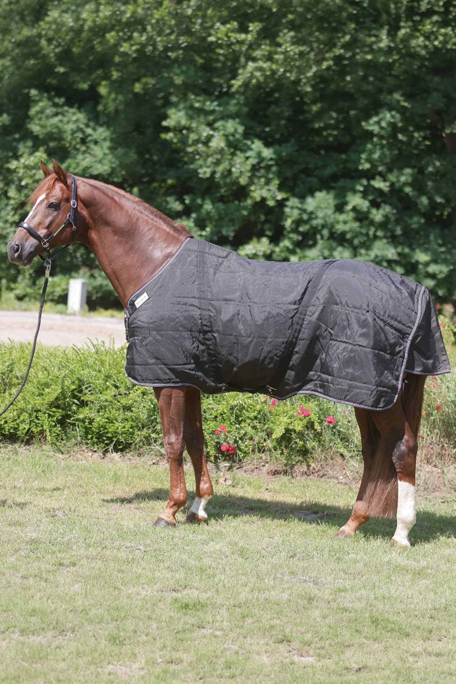 Stallion derka z napierśnikiem, 200 g Black 135