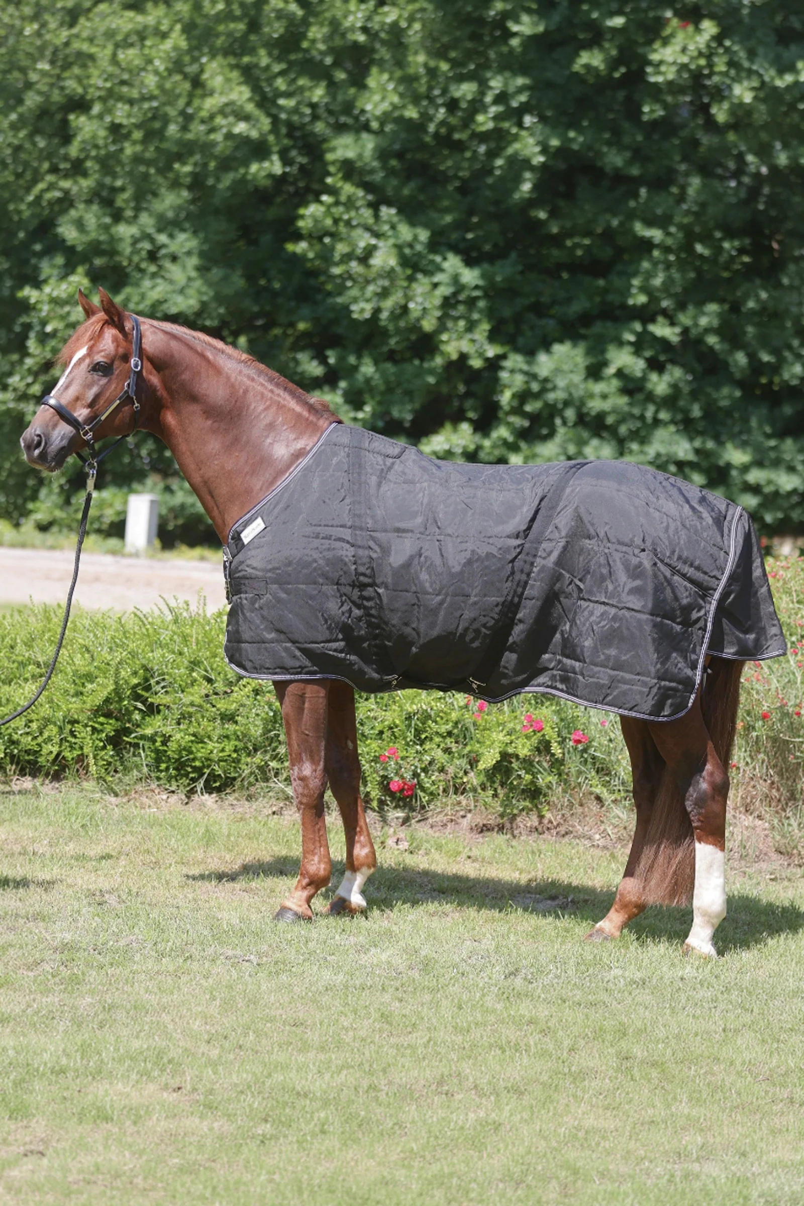 Stallion derka z napierśnikiem, 50 g Black 155