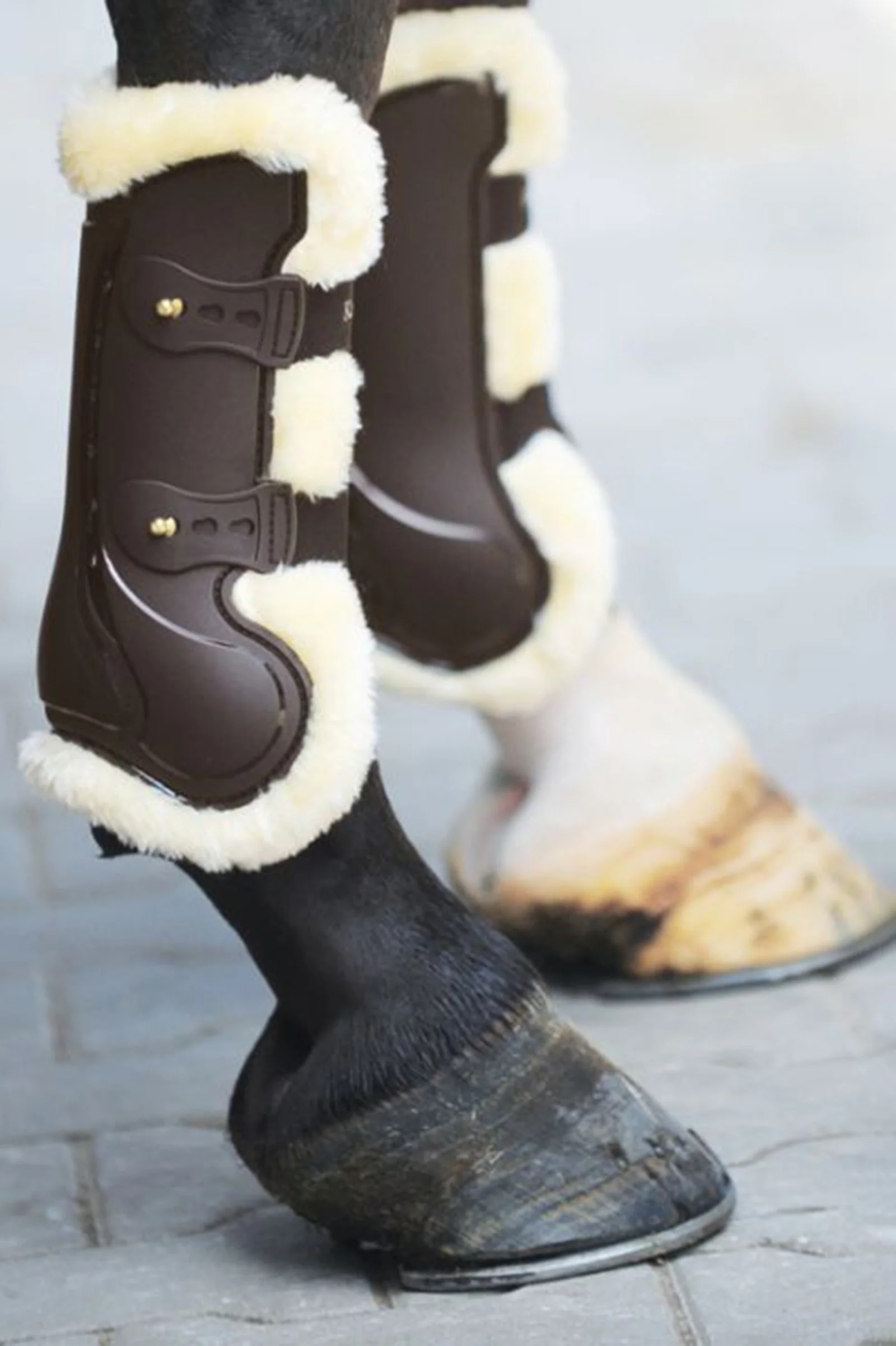 Tendon Boots Compete 'n Wool Brown M