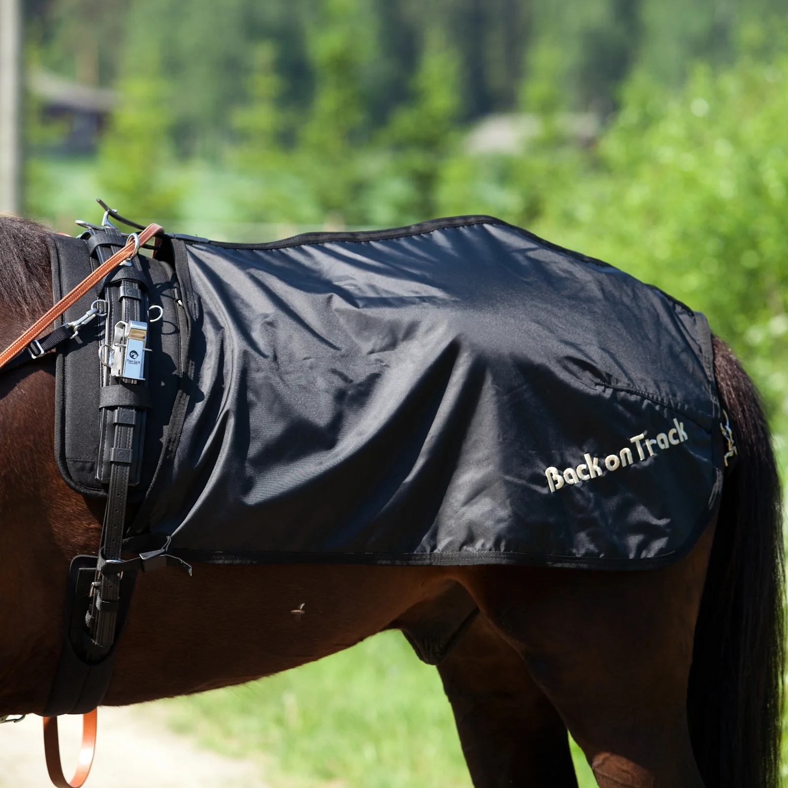 Półderka na zad Back on Track, model szwedzki Black M