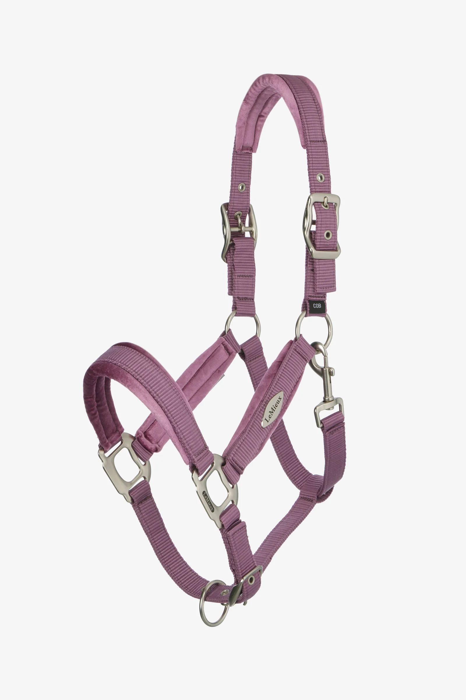 kantar Versailles Mallow F