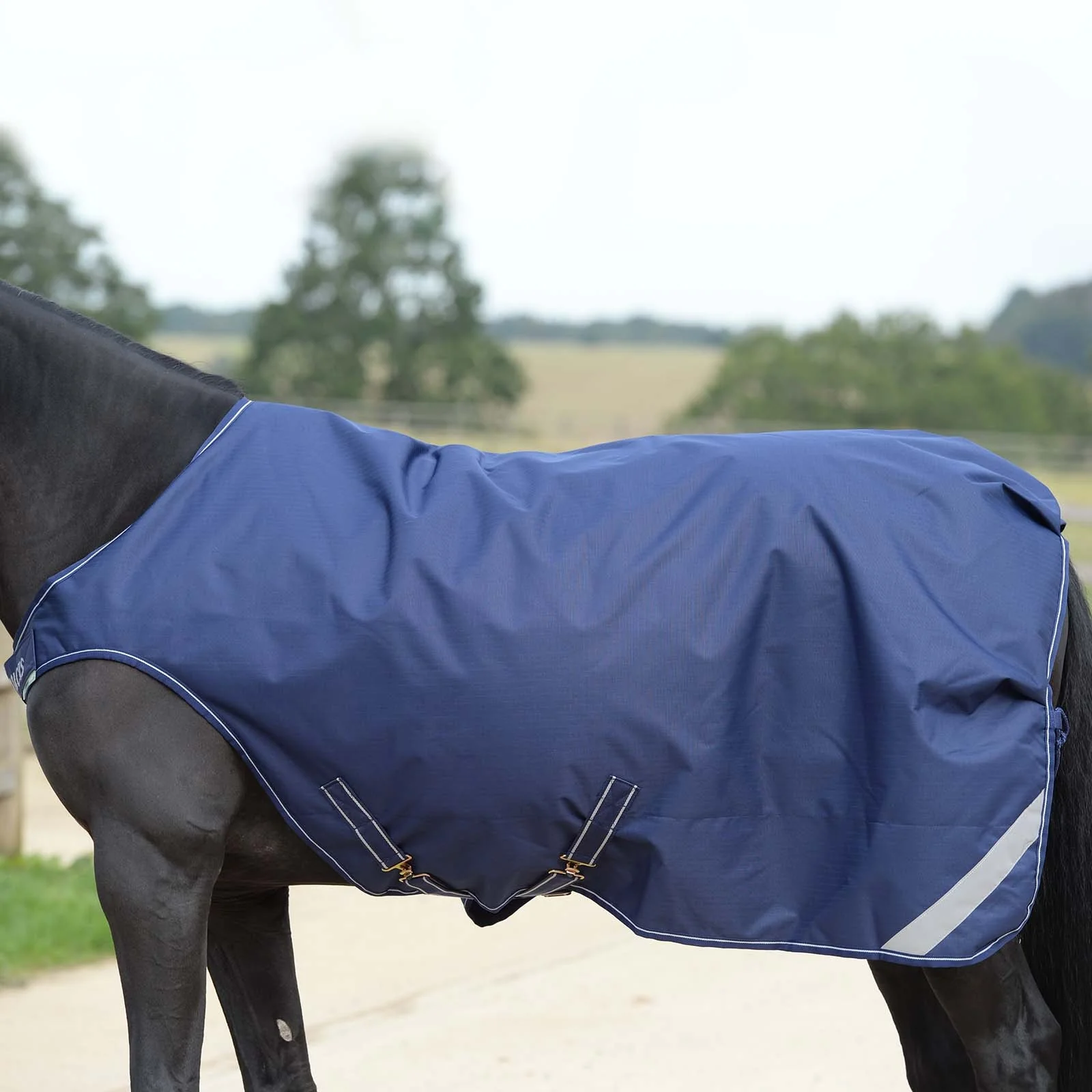 Dywan Walker Dark Blue/Silver 145